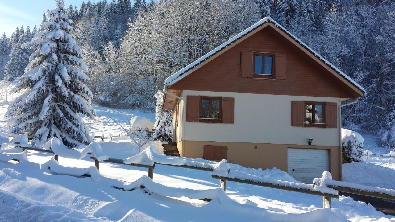 Le Bois Joli Chalet 4 Etoiles Cledicihome Cadre Paisible En Lisiere De Foret Gerardmer Bagian luar foto