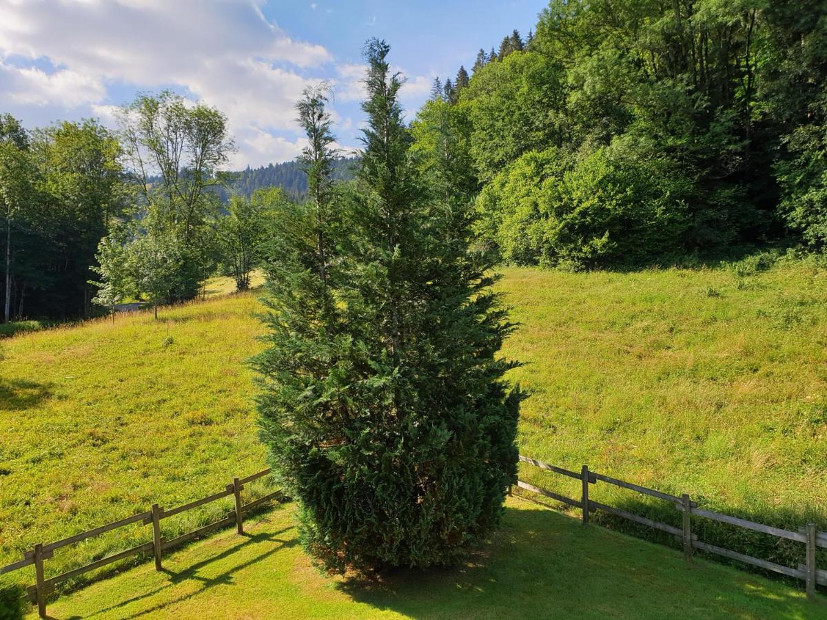 Le Bois Joli Chalet 4 Etoiles Cledicihome Cadre Paisible En Lisiere De Foret Gerardmer Bagian luar foto