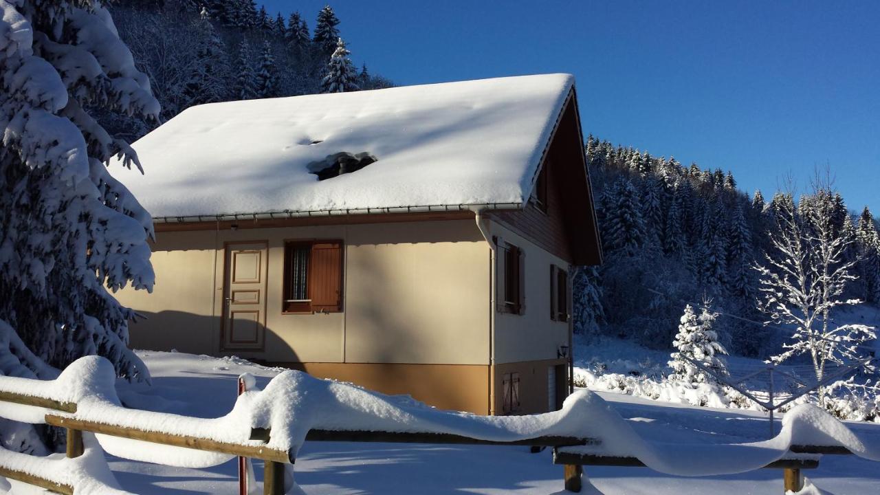 Le Bois Joli Chalet 4 Etoiles Cledicihome Cadre Paisible En Lisiere De Foret Gerardmer Bagian luar foto