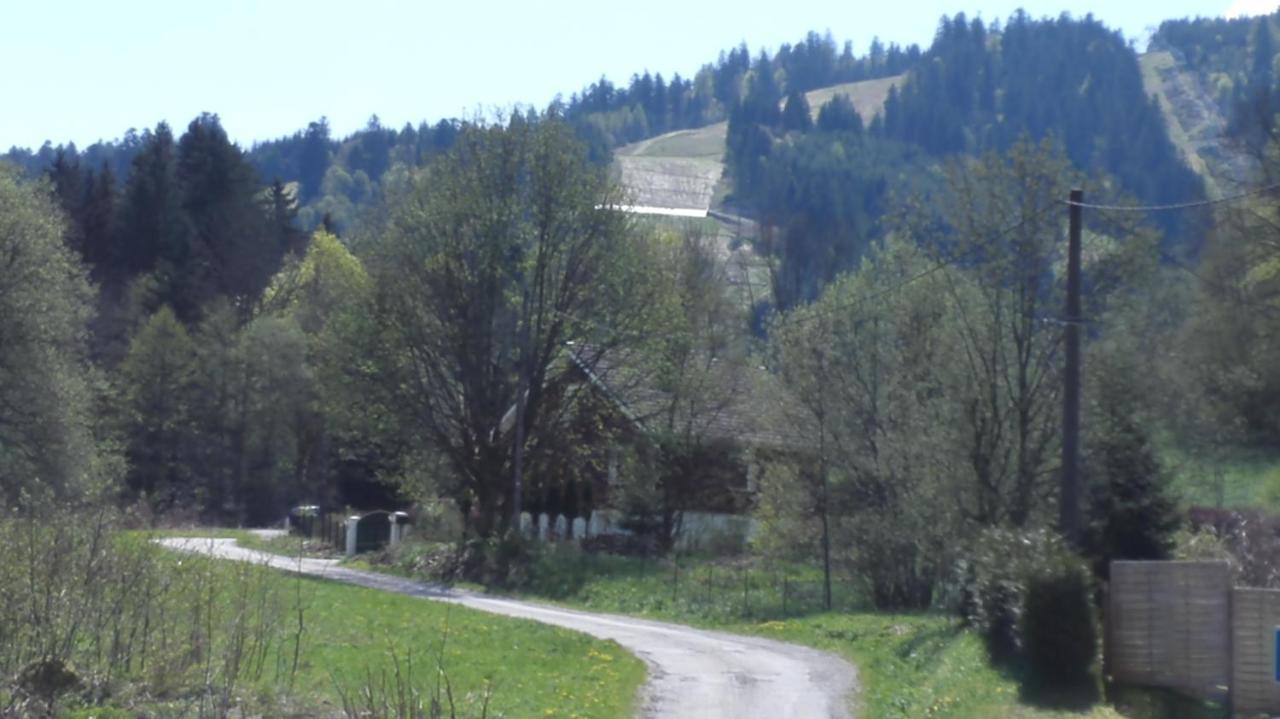Le Bois Joli Chalet 4 Etoiles Cledicihome Cadre Paisible En Lisiere De Foret Gerardmer Bagian luar foto