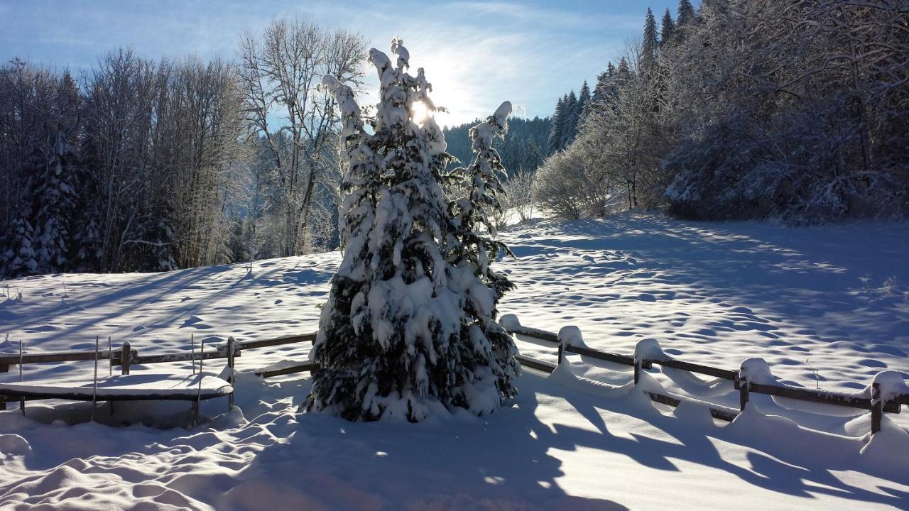 Le Bois Joli Chalet 4 Etoiles Cledicihome Cadre Paisible En Lisiere De Foret Gerardmer Bagian luar foto