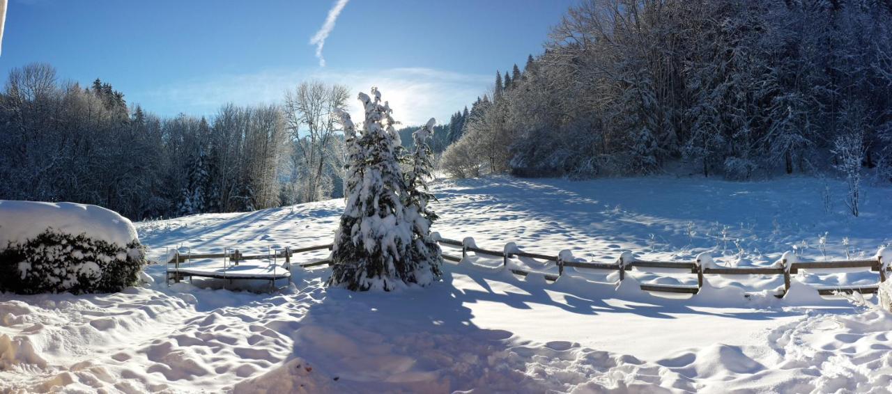 Le Bois Joli Chalet 4 Etoiles Cledicihome Cadre Paisible En Lisiere De Foret Gerardmer Bagian luar foto