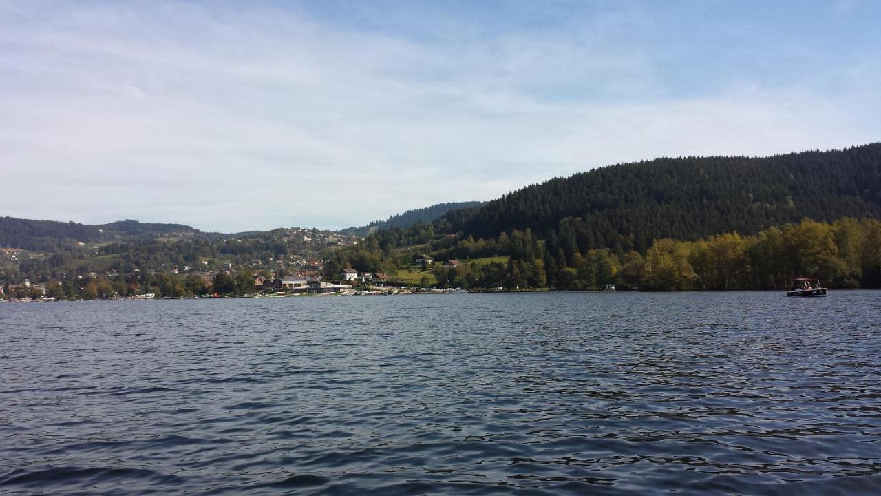 Le Bois Joli Chalet 4 Etoiles Cledicihome Cadre Paisible En Lisiere De Foret Gerardmer Bagian luar foto